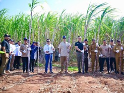 Transmigrasi Berbasis Industri Mulai Diterapkan di Sumba Timur
