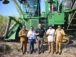 Lahan Berbatu di NTT Disulap Jadi Perkebunan Tebu Produktif