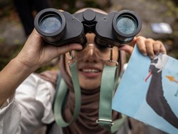 Studi: Mengamati Burung Bisa Memperlambat Penuaan, Kok Bisa?