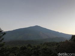 Upaya TNGC Cegah Kebakaran di Atap Jawa Barat