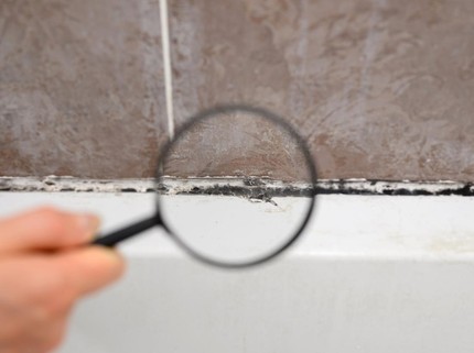 Kenali Jamur Black Mold, Jamur Dalam Ruangan yang Bisa Sebabkan Asma & Pneumonia Anak-Keluarga