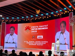 Airlangga Sebut Pedagang Beras Untung dalam 6 Bulan Terakhir