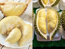 Jangan Keliru! Kenali Perbedaan Durian Medan Vs Durian Montong