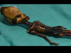 Analisis DNA Ungkap Misteri Alien Atacama, Wujudnya Tak Biasa