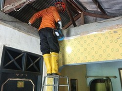 Hendak Mandi, Warga Bogor Malah Lihat Ular Sanca di Plafon