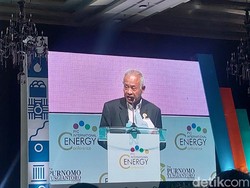 RI Punya Banyak Harta Karun untuk Transisi ke Energi Hijau