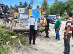Kronologi Lubis Tewas Tertimpa Pohon Imbas Proyek Jembatan di Mempawah
