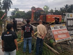 Lubis Tewas Tertimpa Pohon Diduga Akibat Proyek, Polisi Selidiki