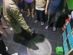 Wanita Hilang di Lombok Barat Ternyata Dicor di Septic Tank