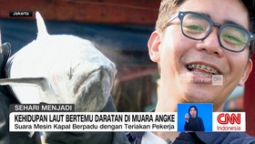 VIDEO: Sehari di Pusat Denyut Laut Jakarta