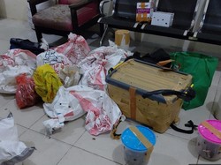 BBKSDA Gagalkan Penyelundupan 24 Satwa Endemik Papua di Pelabuhan Sorong