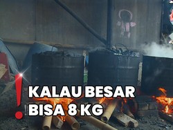 Hasil Tangkapan Kerang Laut Langsung Dikupas-Direbus Warga Setempat