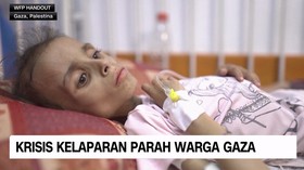 VIDEO: Krisis Kelaparan Parah Warga Gaza