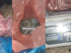 Beli Udang di Pasar, Berat Tak Sesuai Saat Ditimbang Ulang di Rumah
