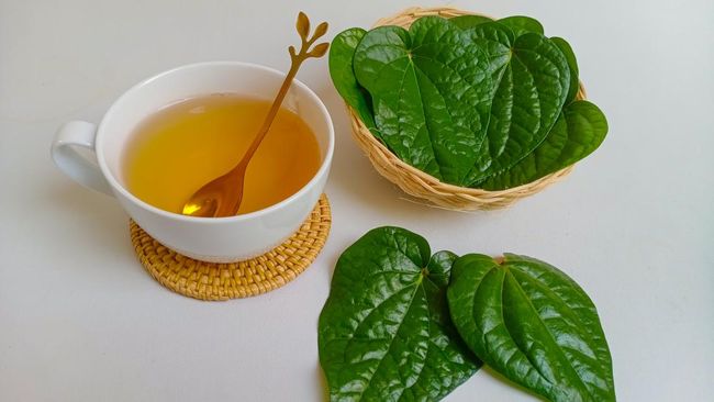 Daun sirih biasanya dipakai untuk menghentikan mimisan pada anak. Namun, ternyata khasiat daun sirih lebih dari itu.
