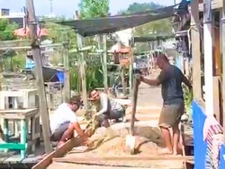 Warga Selumit Pantai Gotong-Royong Sulam Jembatan Rusak Secara Swadaya