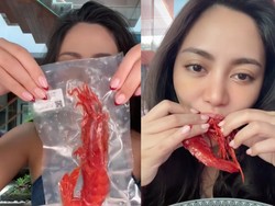 Rachel Vennya Cicip Udang Viral Carabineros, Harganya Rp 160 Ribu per Ekor