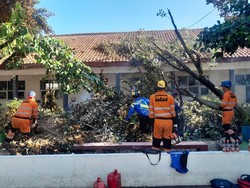 BPBD Bogor Catat 19 Bencana Imbas Hujan-Angin Kencang, Musala-Sekolah Rusak