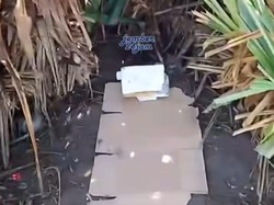 Viral Kondom Berserakan Ditemukan di Bilik Kamar Pantai Watu Ulo Jember