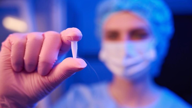embryo freezing embryo freezing