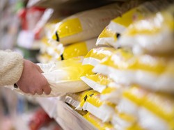 Stok Beras Diklaim Melimpah Tapi Harga Masih Tinggi, Ini yang Terjadi!