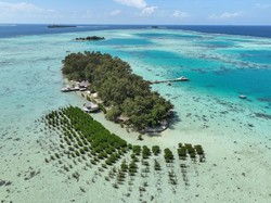 Kepulauan Seribu, Surga Tropis Tak Terduga di Utara Jakarta