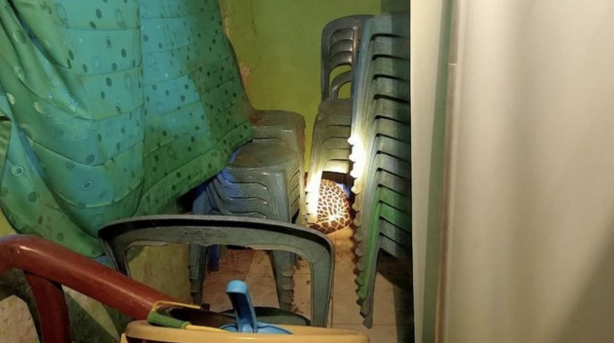 Geger Macan Tutul Masuk Balai Desa Kuningan, Ahli Bongkar Pemicunya