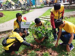 Maxim Ajak Mitra Pengemudi Tanam Pohon-Bersihkan Taman & Pantai