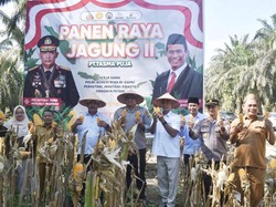 Dukung Ketahanan Pangan, Polres Kampar Panen Raya 3 Ton Jagung Pipil