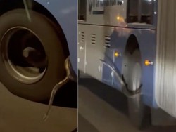 Hiii... Ular Sanca Nongol dari Bodi Bus Kagetkan Pengendara di Jaktim