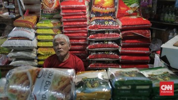 Teka-teki Beras Premium Hilang dari Pasar, Stok Melimpah Tapi Langka?