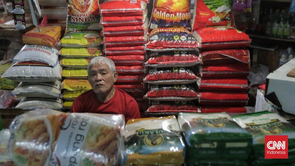 Misteri Raibnya Beras Premium di Tengah Kelimpahan Stok