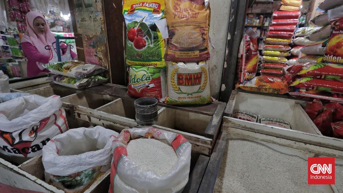 Bukan Menghambat, Pembaruan KBLI 2025 Tangkap Ekonomi Baru Indonesia