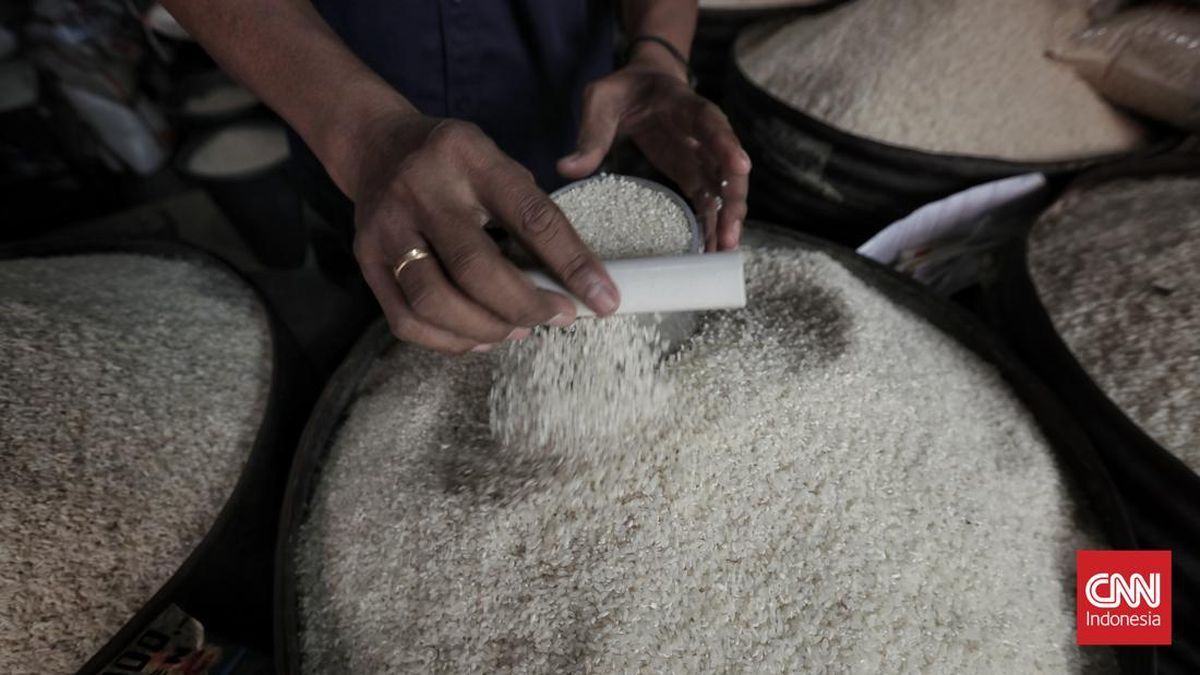 Harga Beras di 214 Kabupaten/ Kota Masih Naik per Agustus 2026
