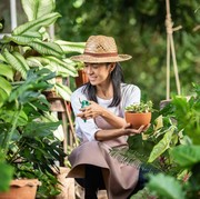 Ingin Memulai Hobi Berkebun? Hindari 5 Kesalahan Ini!