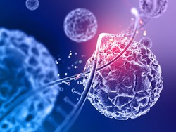 Apa Itu Stem Cell yang Jadi Praktik Terapi Ilegal di Magelang? Ini Jawabannya