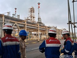 Pertamina Bidik Produksi BBM dari Minyak Jelantah 1,3 Juta Kiloliter