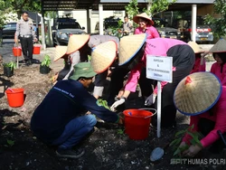 Kapolda Kalteng Pimpin Panen Sayur: Program P2L Terintegrasi dan Berkelanjutan