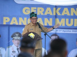 Cegah Kenaikan Inflasi, Mendagri: Kita Perlu Genjot Intervensi Stok Beras