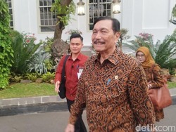 Luhut Lapor Prabowo Ungkap Rencana Bikin Bibit Unggul Pertanian