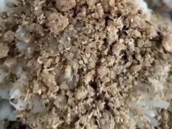 Nasi Tutug Oncom Jadi Menu MBG di Tasik Disorot Warganet, Ini Kata Bupati