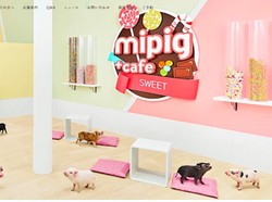 3 Hidden Gem Jepang yang Lagi Naik Daun, Catat Ya!