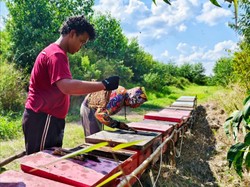 Petani Madu di Jambi Raup Cuan Lebih dari Program Binaan PT WKS