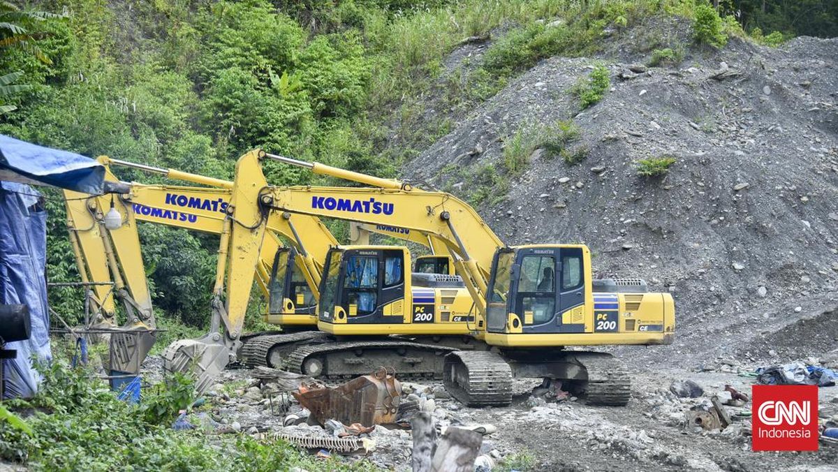 Tambang Emas Ilegal Manokwari, Potret Nestapa dari Jantung Hutan Papua