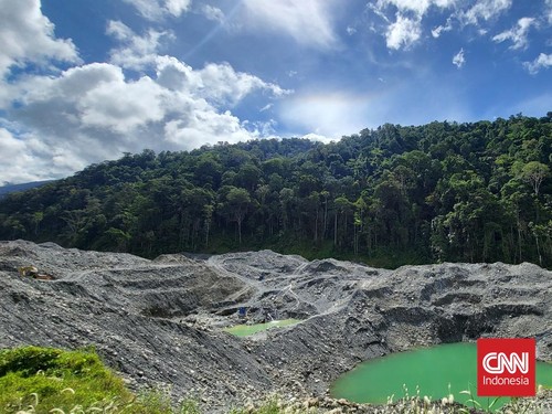 Tambang Ilegal Ditertibkan, Ratusan Hektare Lahan Kembali ke Negara