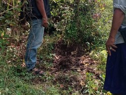 Geger Orok Membusuk Terkubur di Sawah Lombok Tengah