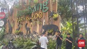 Geger Kabar Macan Tutul Lepas, Lembang Zoo Bandung Ditutup