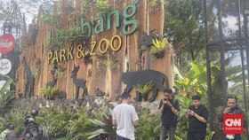 Geger Kabar Macan Tutul Lepas, Lembang Zoo Bandung Ditutup