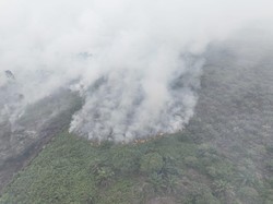 77 Hektare Lahan di Aceh Selatan Terbakar, Sumber Air jadi Kendala Pemadaman