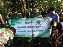 Merawat Pesisir Bali Lewat Aksi Tanam Mangrove di Lahan Kritis